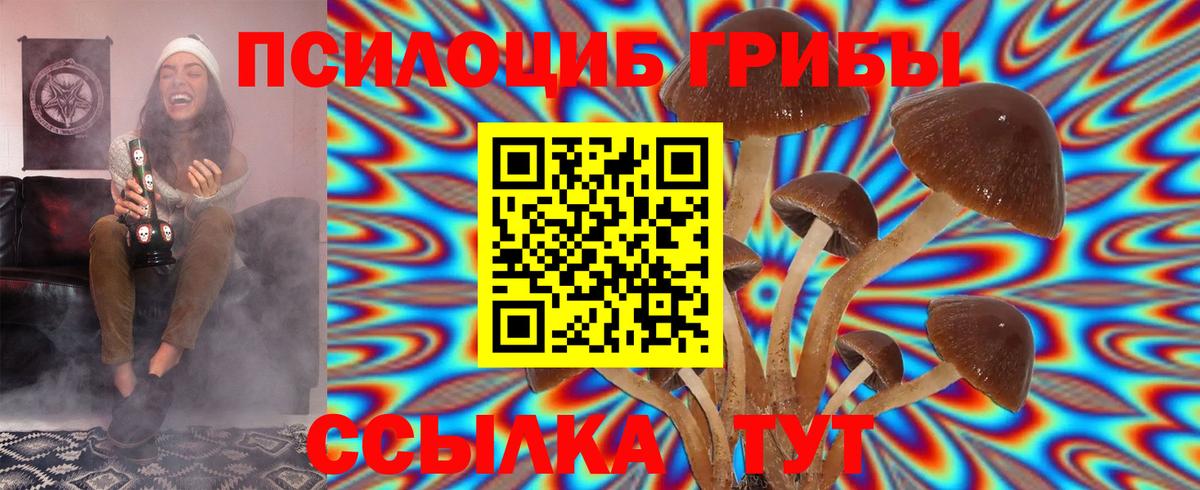 Чайковский  Псилоцибиновые грибы Cubensis  Вход с VPN 